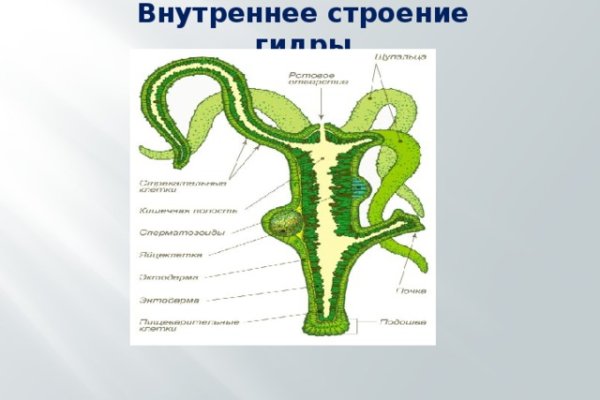 Как купить через кракен