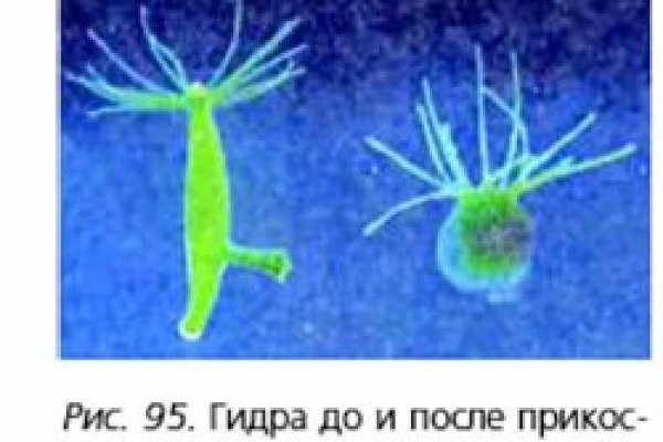 Кракен не работает